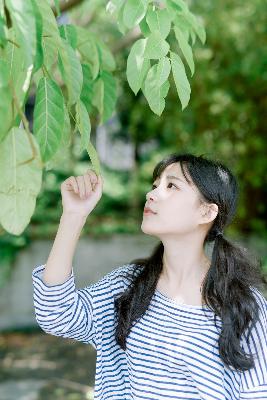 丁香花电影高清在线观看完整版,丁香花电影高清在线小说阅读