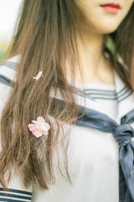 芳草地电影免费观看